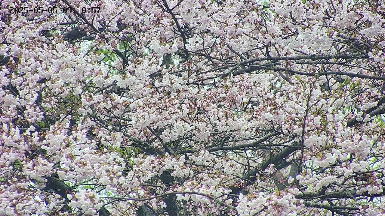 takano4-20250505091058.jpg