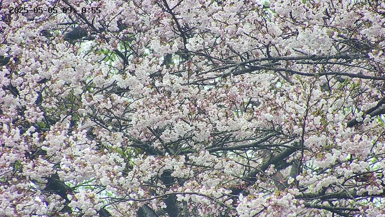 takano4-20250505095056.jpg