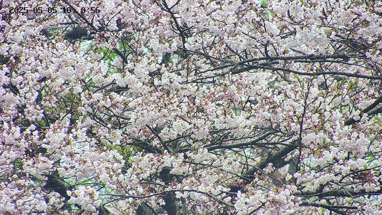 takano4-20250505104057.jpg