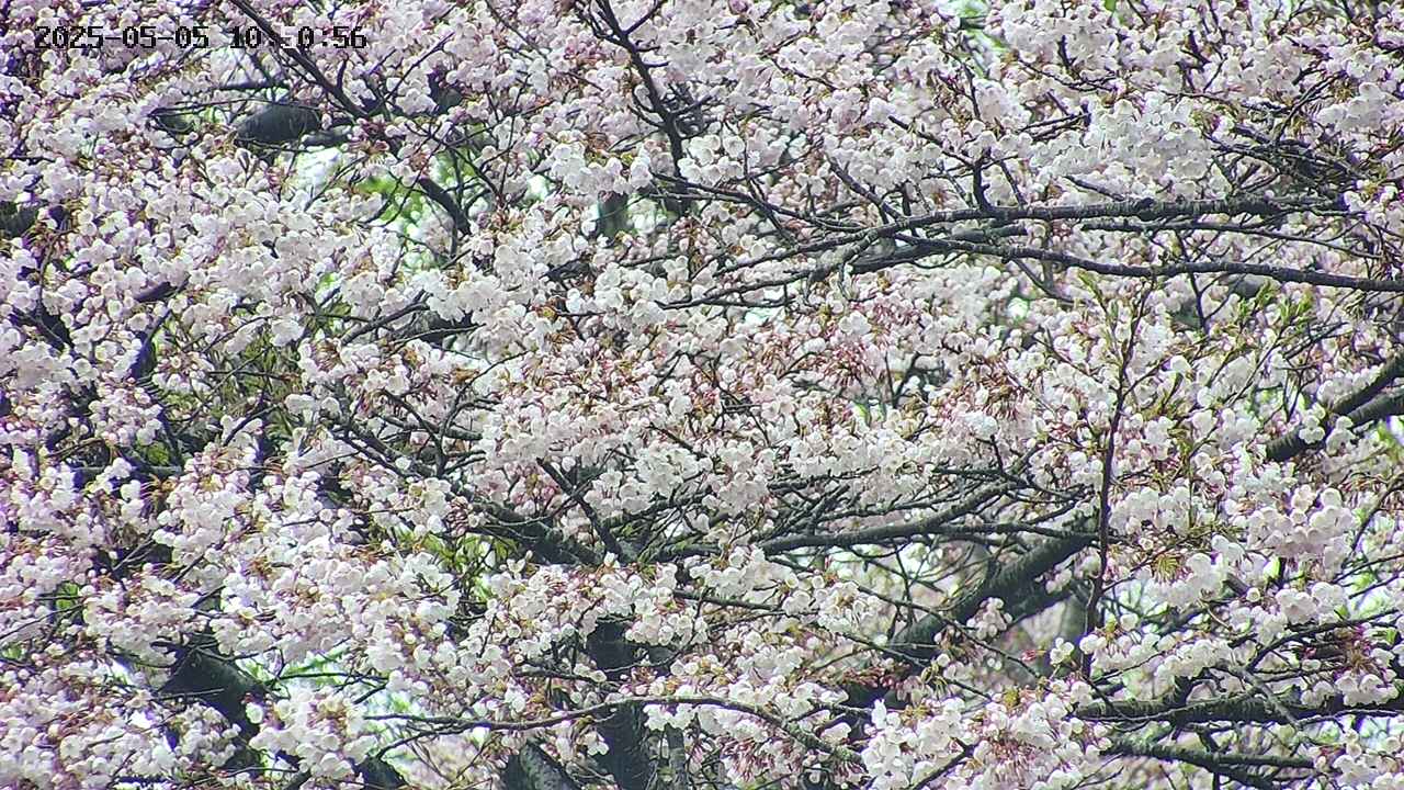 takano4-20250505105058.jpg