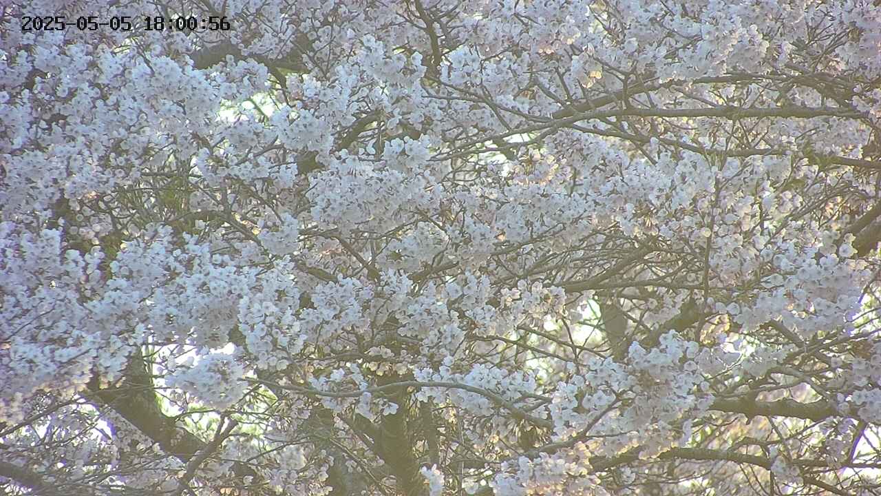 takano4-20250505180057.jpg