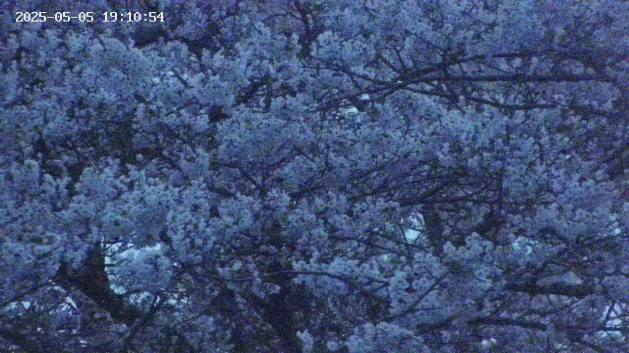 takano4-20250505191055.jpg