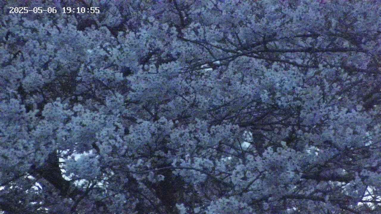 takano4-20250506191056.jpg