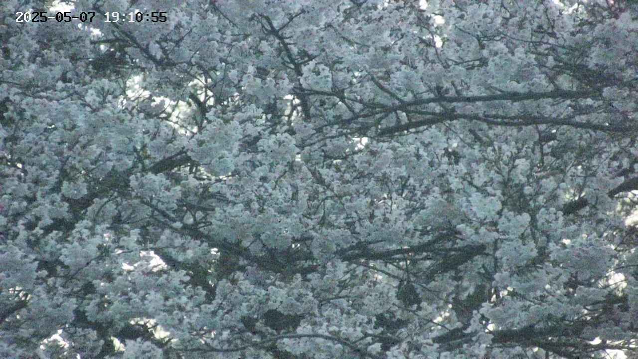 takano4-20250507191056.jpg