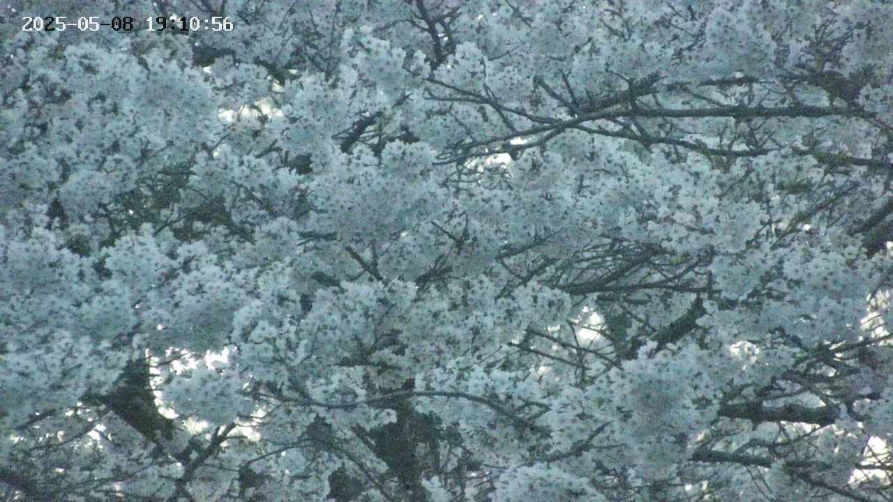 takano4-20250508191057.jpg