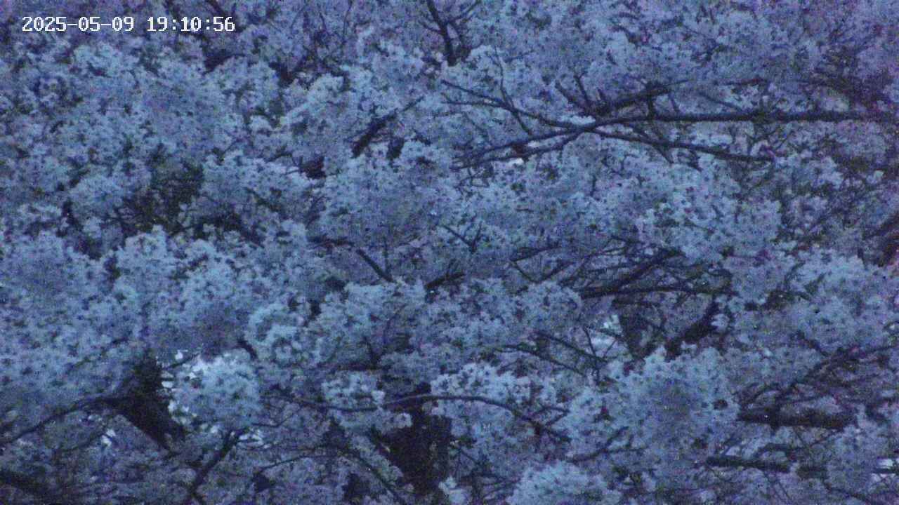 takano4-20250509191057.jpg