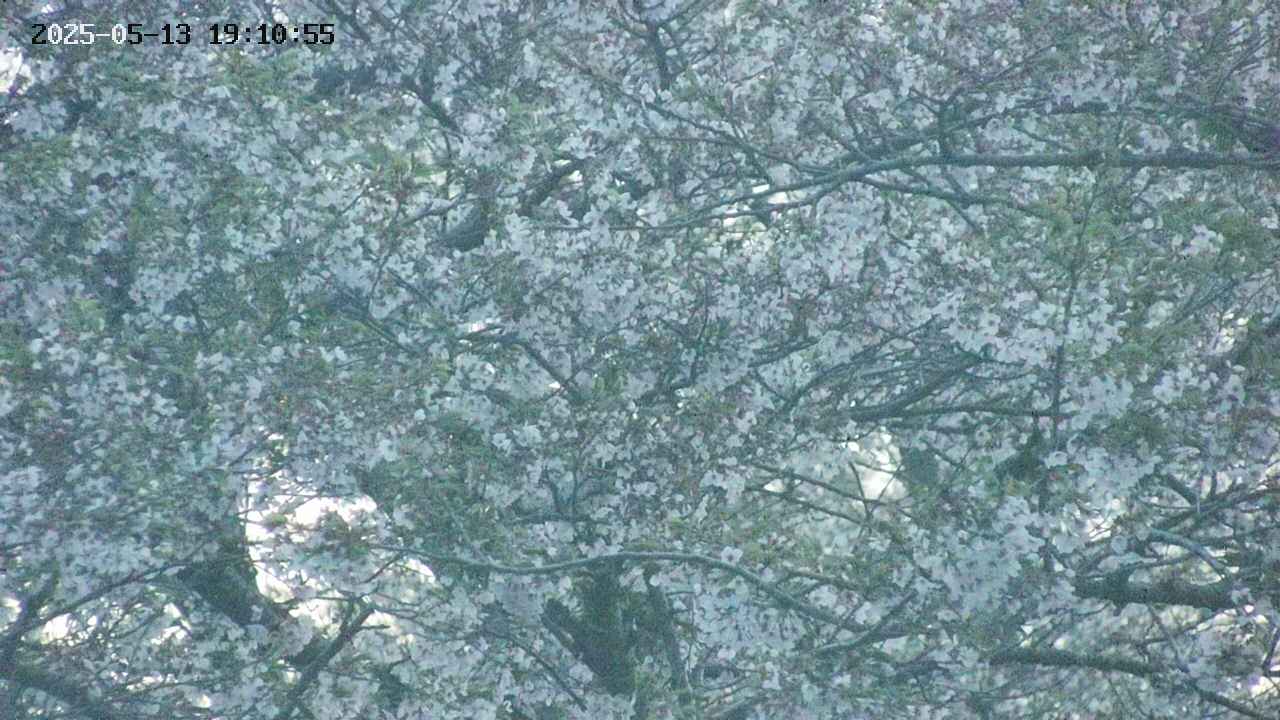 takano4-20250513191056.jpg