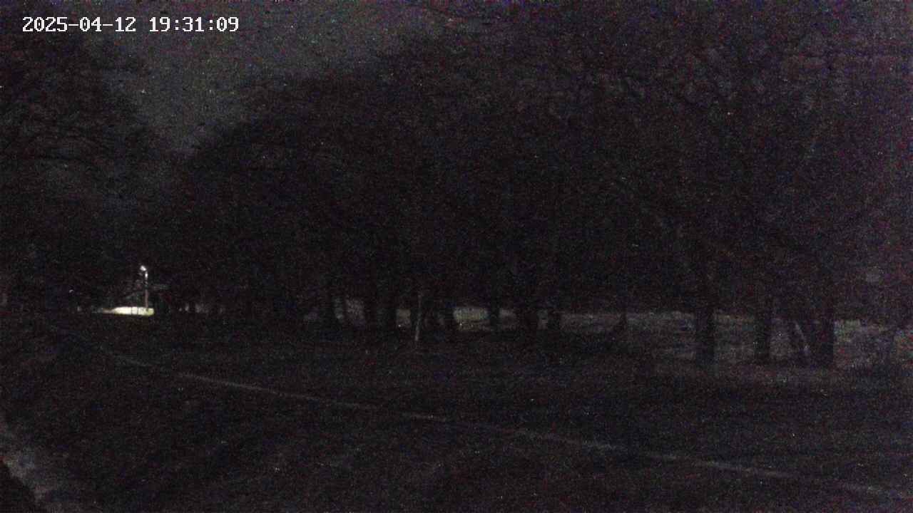 takano5-20250412193109.jpg
