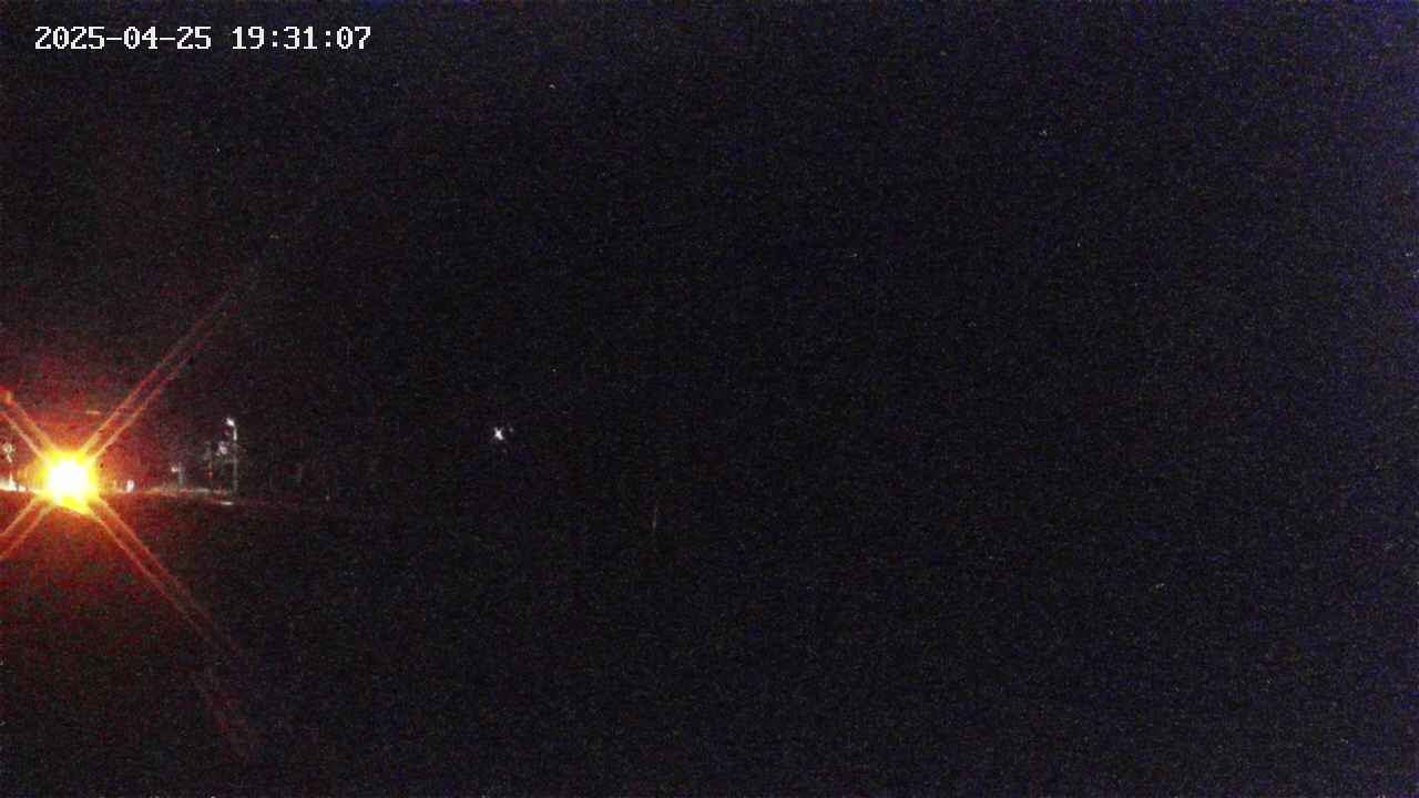 takano5-20250425193107.jpg