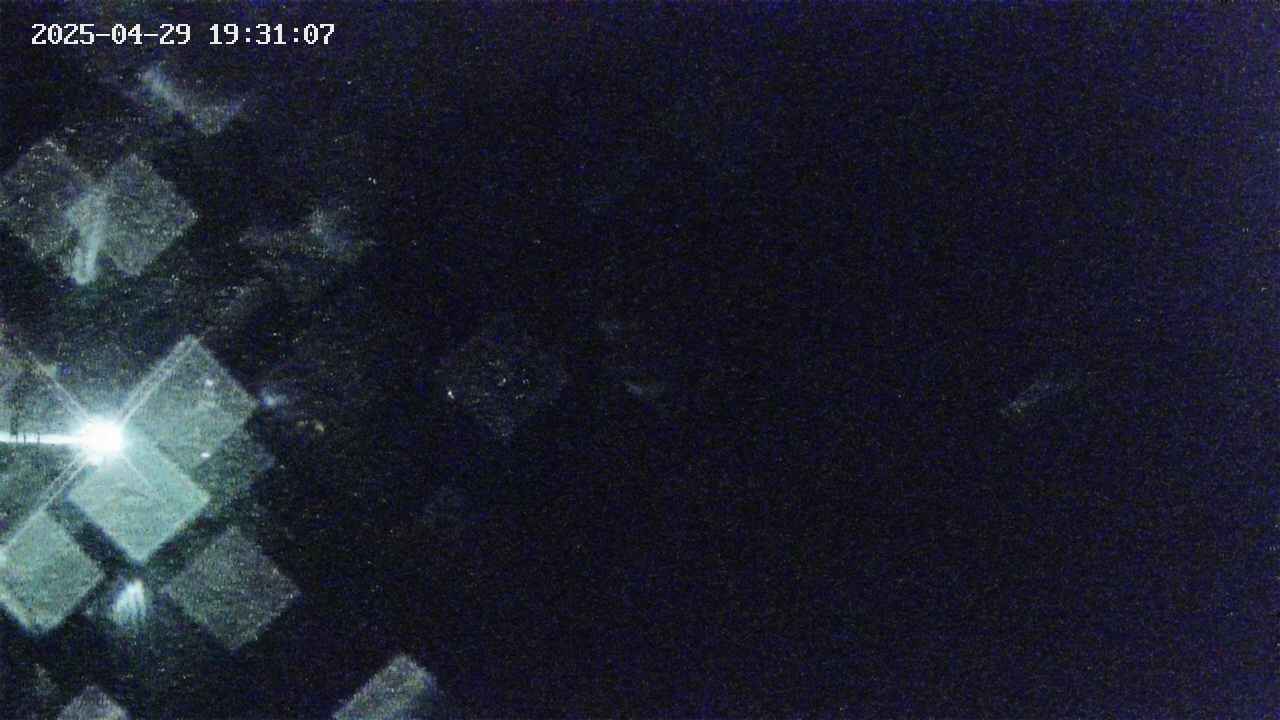 takano5-20250429193108.jpg