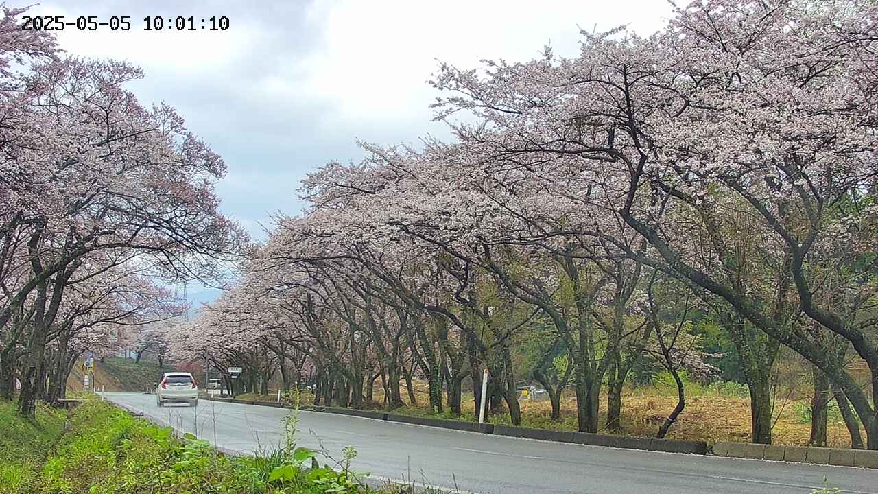 takano5-20250505100111.jpg