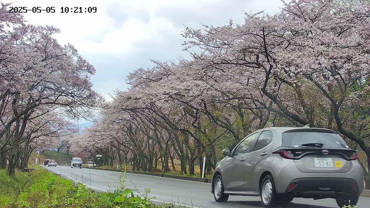 takano5-20250505102110.jpg