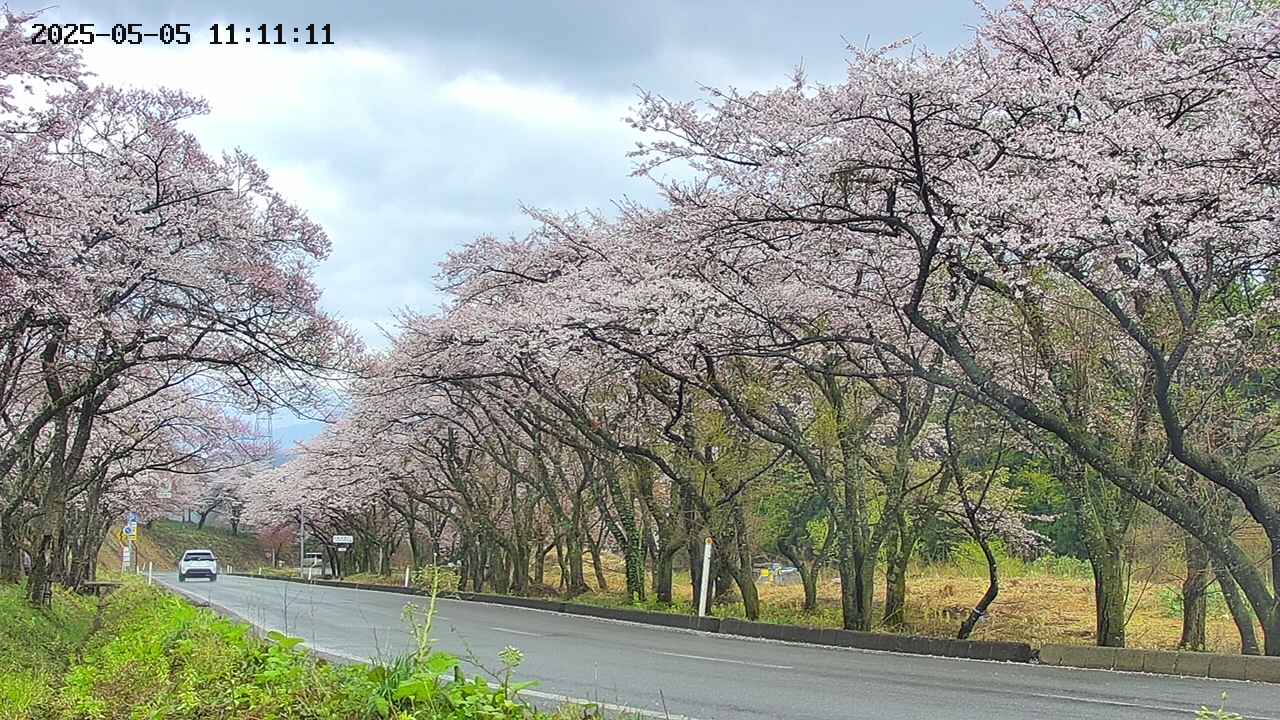 takano5-20250505111113.jpg