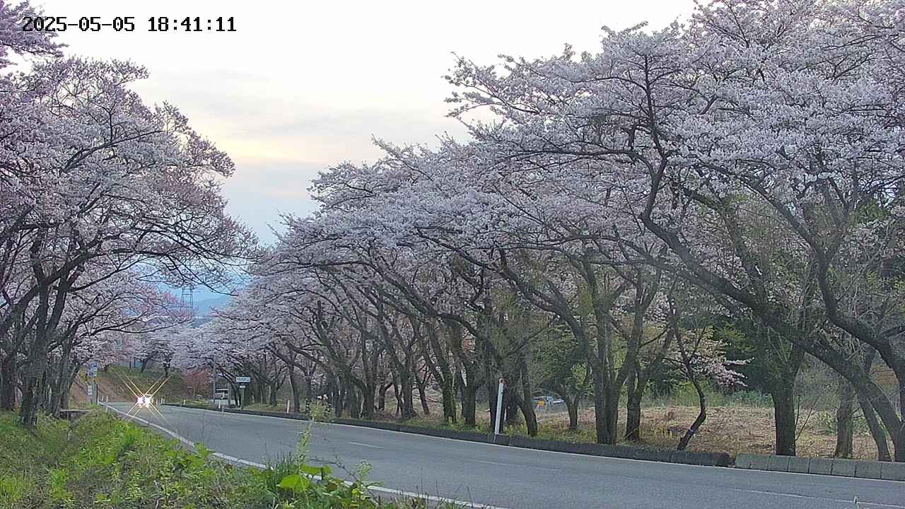 takano5-20250505184112.jpg