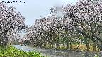 takano5-20250507055109.jpg