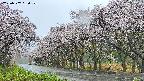 takano5-20250507060110.jpg
