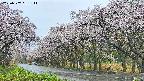takano5-20250507061113.jpg