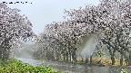 takano5-20250507072110.jpg