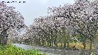 takano5-20250507080112.jpg