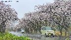 takano5-20250507081113.jpg
