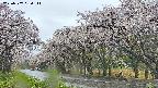 takano5-20250507084112.jpg