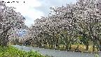 takano5-20250507111113.jpg