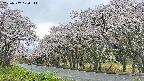 takano5-20250507120113.jpg