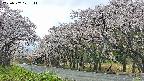 takano5-20250507121112.jpg