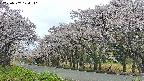 takano5-20250507124112.jpg