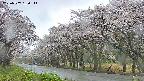 takano5-20250507130116.jpg