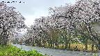 takano5-20250507150110.jpg