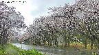 takano5-20250507152111.jpg