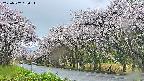 takano5-20250507160114.jpg