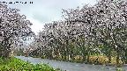 takano5-20250507170112.jpg