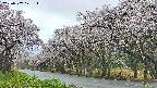 takano5-20250507171113.jpg