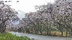 takano5-20250507181113.jpg