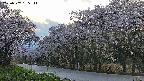 takano5-20250507185112.jpg