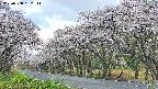 takano5-20250508052112.jpg