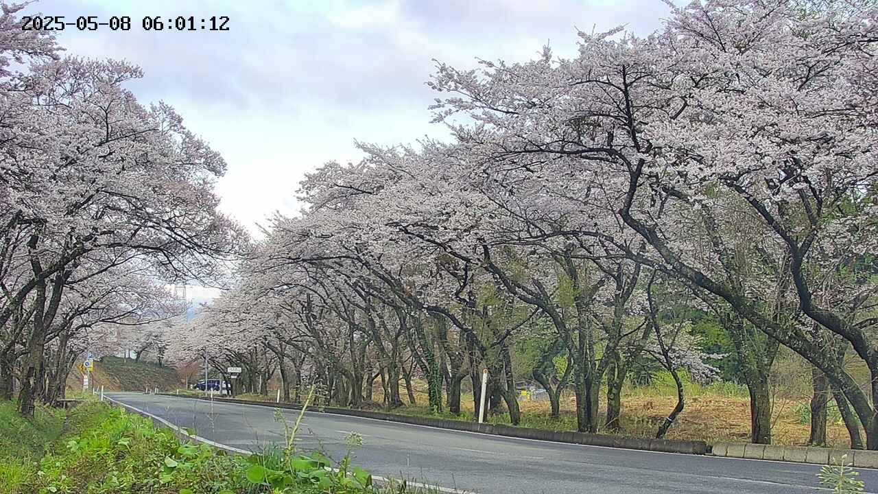 takano5-20250508060113.jpg
