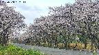 takano5-20250508062112.jpg