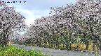 takano5-20250508063112.jpg