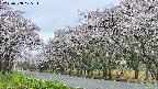 takano5-20250508075114.jpg