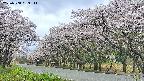 takano5-20250508083113.jpg