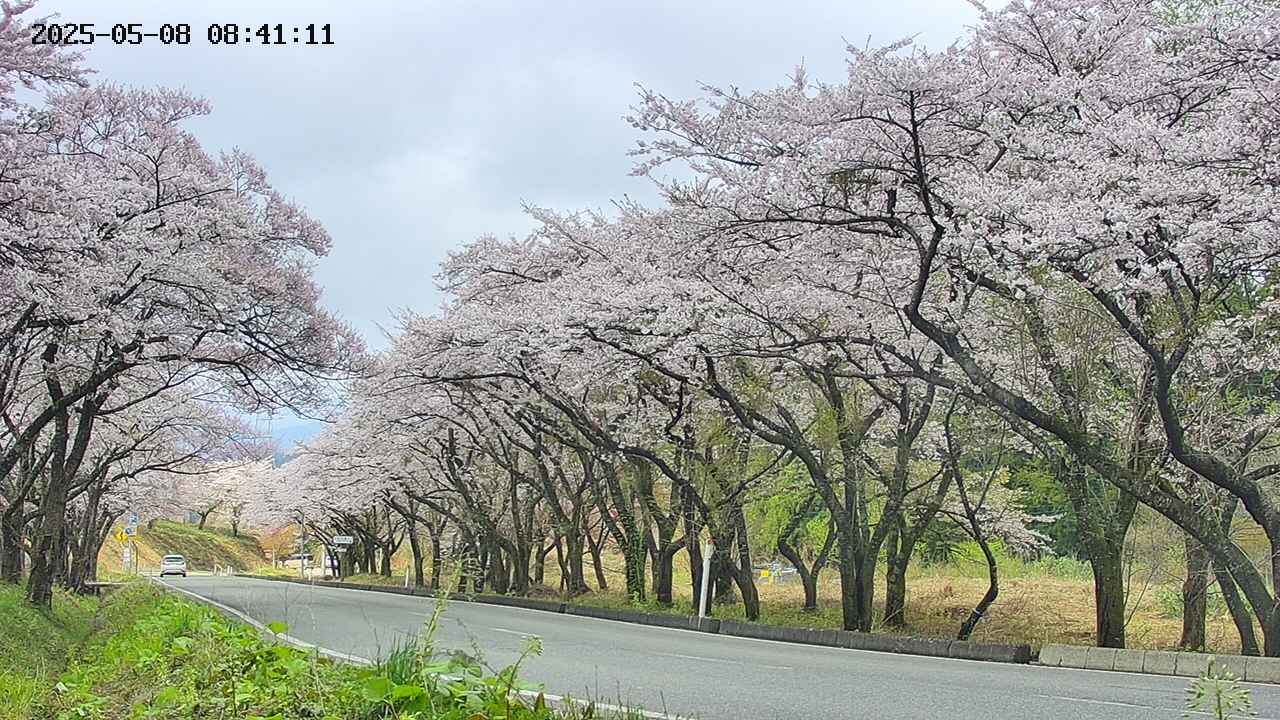 takano5-20250508084112.jpg
