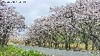 takano5-20250508084112.jpg