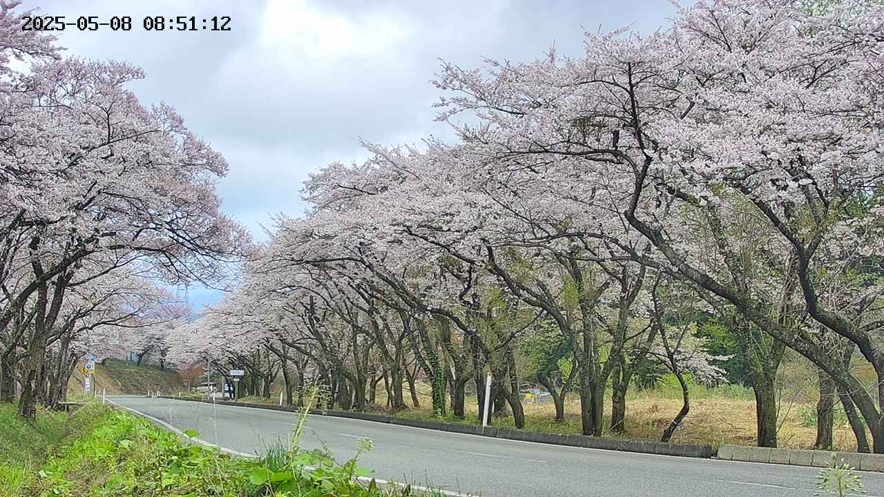 takano5-20250508085113.jpg