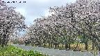 takano5-20250508090115.jpg