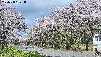 takano5-20250508095113.jpg