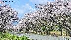 takano5-20250508102112.jpg