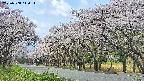 takano5-20250508110113.jpg
